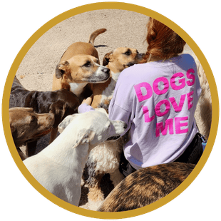 Dog Daycare and Boarding Round Rock, tX